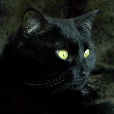 Profile Picture of Jamie F (@jforet8276) on Twitter