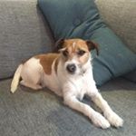 Profile Picture of Christopher tjernshaugen (@christophertjernshaugen) on Instagram