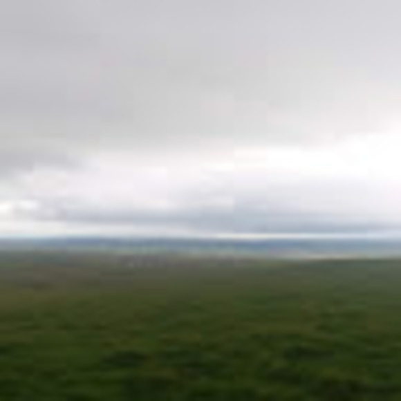 Profile Picture of Anne Connelli (@aconnelli) on Poshmark