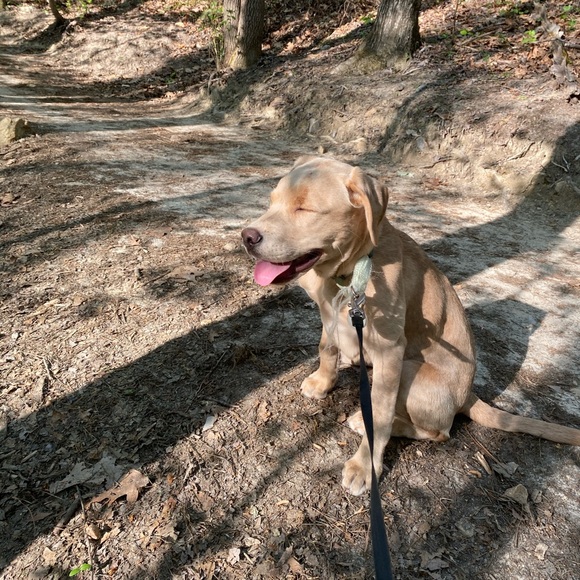 Profile Picture of Richard Bechtold (@richardbechtold) on Poshmark