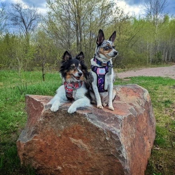 Katelyn Varvil - Poshmark Profile Picture of Katelyn Varvil (@katelynvarvil) on Poshmark