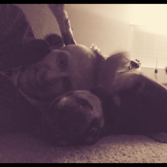 Profile Picture of Barry Lewis (@bearman8484) on Poshmark