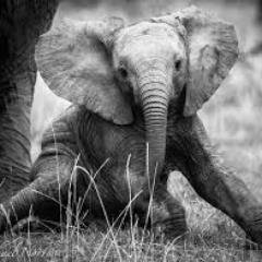 Profile Picture of Manonmartin (@ManonMartin2016) on Twitter