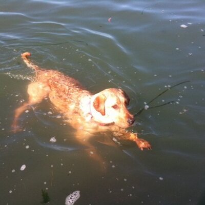 Profile Picture of Mark Bolt (@MarkBolt3) on Twitter
