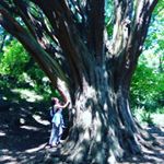 Profile Picture of daniela andrei (@daniela73andrei) on Instagram