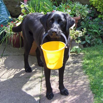 Profile Picture of Peter Jamieson (@jamiesop) on Twitter