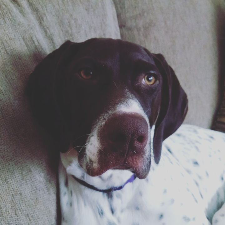 Profile Picture of Peter Perovich (@user4591944312911) on Tiktok