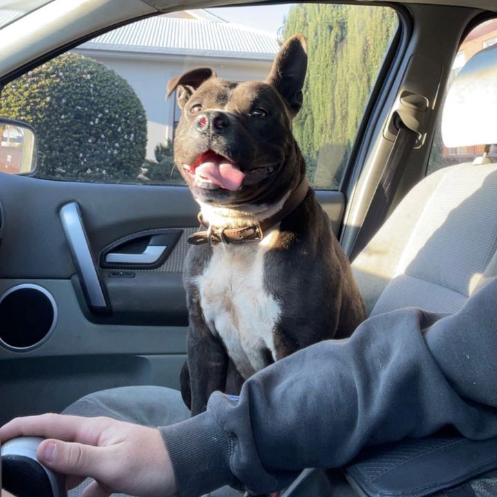 Profile Picture of Cade Geiger (@cadegeiger26) on Tiktok