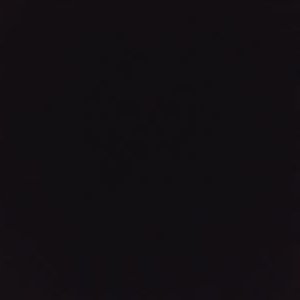 Profile Picture of Jesse Thornton (@Wolfgang7945) on Twitter