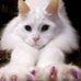 Profile Picture of Ruby Sigmon (@ruby.sigmon.144) on Facebook