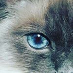 Profile Picture of Jeremy Glaser (@jeremy_l_glaser) on Instagram