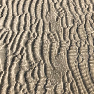 Profile Picture of Adam Nissen (@NissenAdam) on Twitter