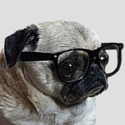 Profile Picture of Colin Fulton (@PeterQuines) on Twitter
