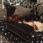 Profile Picture of Michael Guest (@michael.guest.3386) on Instagram