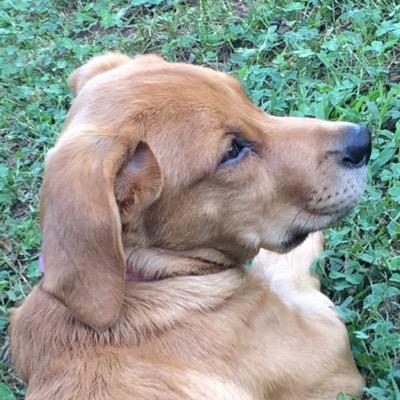 Profile Picture of Erik Arias (@erikarias12) on Twitter