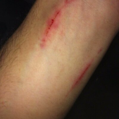 Profile Picture of Alfredo Pandolfi (@PandoAlfre) on Twitter