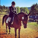 Profile Picture of Kylie Spinsby (@horse_luver_7) on Instagram