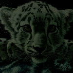 Profile Picture of Stefany Freeman (@stef_clara) on Twitter