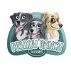 Profile Picture of Melody Ranch Aussies (@melodyranchaussies) on Tiktok
