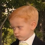 Profile Picture of Aaron “Ginga Ninja” Bear (@thegingybear) on Instagram