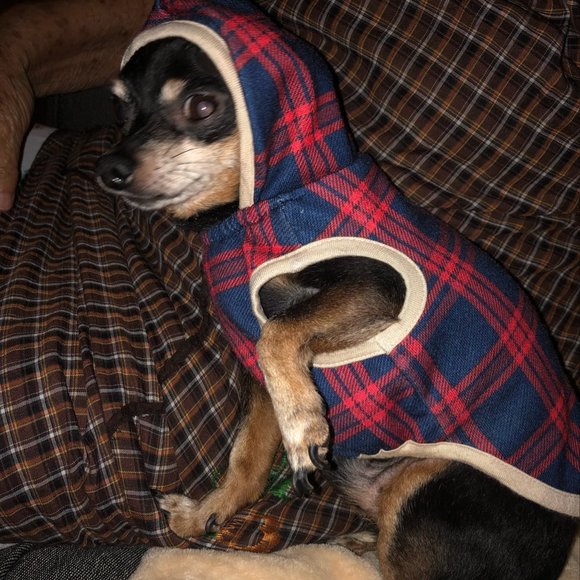 Profile Picture of Yessenia Alvarez (@yessey_97) on Poshmark