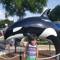 Profile Picture of Miriam Toledo (@miriam-toledo-6) on Quora