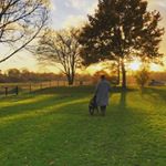 Profile Picture of alicejanssen#rottweiler (@rottweiler_bo_en_joep_2) on Instagram