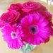 Profile Picture of Tammy Borg (@tmborg) on Pinterest
