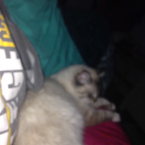 Profile Picture of Deb Gabrick (@deb57) on Poshmark