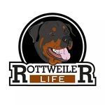 Profile Picture of Rottweiler Life (@rottweilerlife) on Instagram