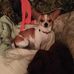 Profile Picture of Amanda Dunaway (@amanda.dunaway.7161) on Facebook