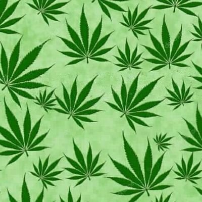 Profile Picture of Luis Enrique Martinez Rodrigues (@LuisEnr59918065) on Twitter