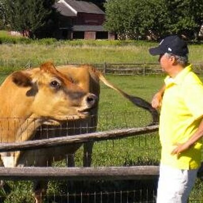 Profile Picture of Charlie Alzamora (@chalzamora) on Twitter