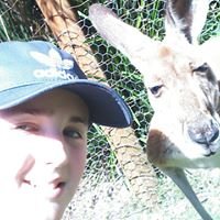 Profile Picture of Lloyd Naylor (@NaylorLloyd) on Twitter