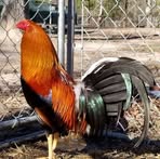 Rene Amar - Facebook Profile Picture of Rene Amar (@rene.amar.2025) on Facebook