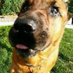 Profile Picture of Noel Coleman (@noel.coleman.9) on Instagram