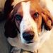 Profile Picture of Bryan Hanes (@bhanes1631) on Pinterest
