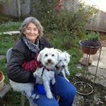 Profile Picture of Cathy Pryor (@pryorcathy) on Instagram