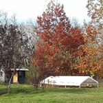 Profile Picture of Shawn Blaylock (@paulshawn1971) on Instagram