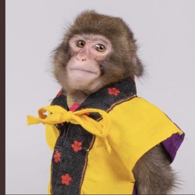 Profile Picture of Justin Carson (@justin_carson9) on Twitter
