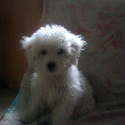 Profile Picture of Luz Karina Matta (@karina_matta) on Twitter