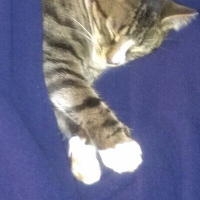 Profile Picture of Margo Watson (@margswat1) on Twitter