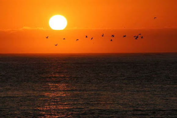 Profile Picture of Sean Degerstrom (@sdegerst) on Poshmark