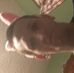 Profile Picture of Jimmy Gianelloni (@jimmy.gianelloni.940) on Facebook