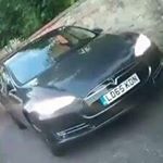 Toby McAllister - Instagram Profile Picture of Toby McAllister (@mrleafeh) on Instagram