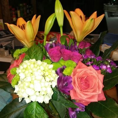 Profile Picture of Kathy Elrod (@kathleen5310) on Twitter