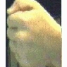 Profile Picture of Justin Engelbart (@scoobyjuju) on Myspace