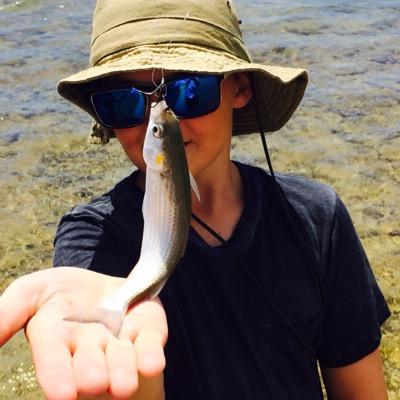 Profile Picture of George Mowbray (@meg_mowbray) on Twitter