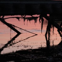 Profile Picture of Ella Sirjord (@ella-sirjord) on Quora