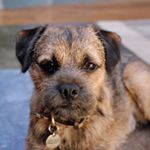 Profile Picture of Duane Barry (@duane_barry8) on Instagram